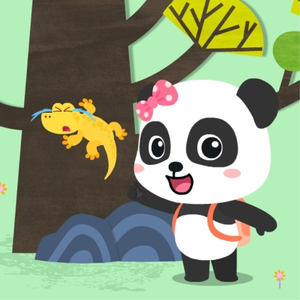 日本全棵写真视频在线观看
