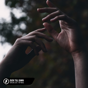 日本全棵写真视频在线观看
