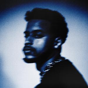 日本全棵写真视频在线观看
