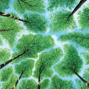 日本全棵写真视频在线观看
